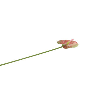 No brand Kunstblume Anthurium 58 cm Countryfield | 6 Stück