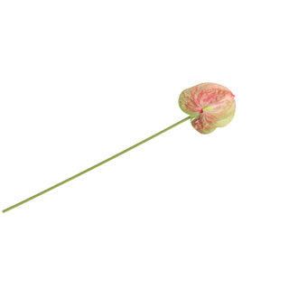 No brand Kunstblume Anthurium 58 cm Countryfield | 6 Stück