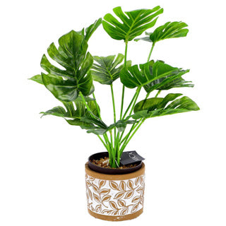 Pot Olea Zylinderbraun 11 cm