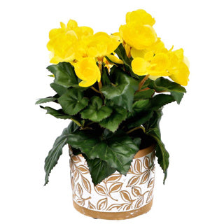 Pot Olea Zylinderbraun 11 cm