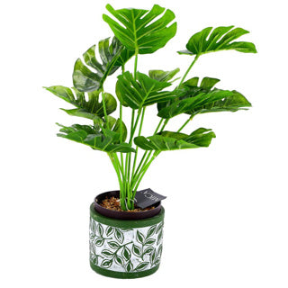 Pot Olea Zylindergrün 11 cm