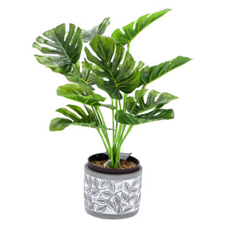 Pot Olea Zylindergrau 11 cm