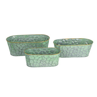PTMD Flower Box Dianne Green Set von 3 3