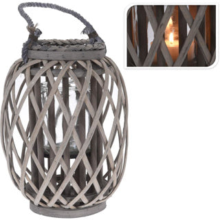 Lantern Reed
