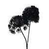 Art Flower Heracleum Countryfield führte Black 75 cm