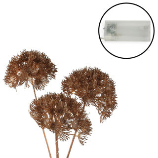 Art Flower Heracleum Countryfield führte Kupfer 80 cm