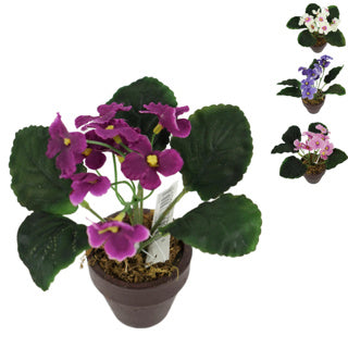 Künstliche Pflanze in Topf Cape Violine 16 cm 4 Assorti