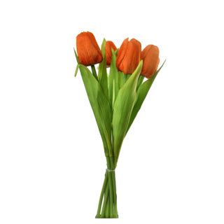 Tulpestrauß 7 Tulpen 35 cm Assorti