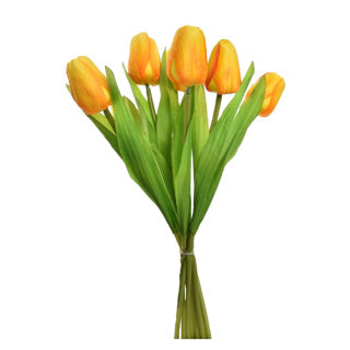 Tulpestrauß 7 Tulpen 35 cm Assorti