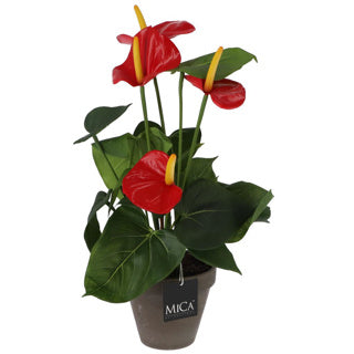 Künstliche Pflanze Anthurium rot im Topf