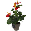 Künstliche Pflanze Anthurium rot im Topf
