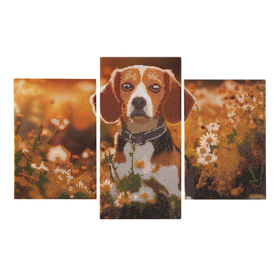 Kreative Bastelgruppe, Diamantmalerei, Triptychon, Hund