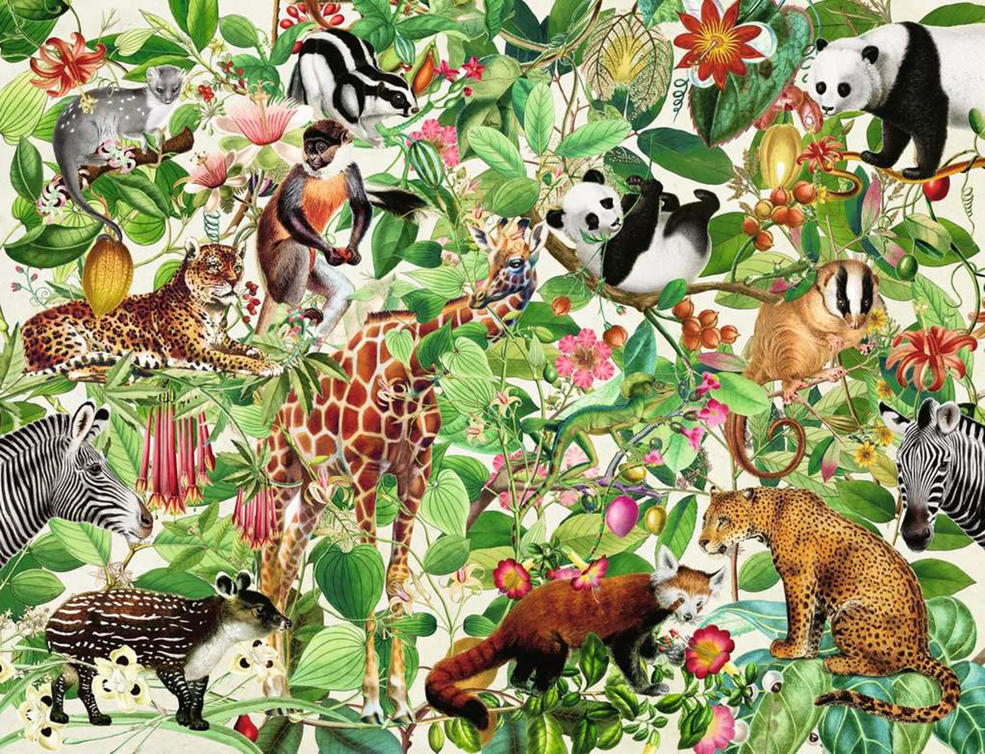 Ravensburger Puzzle Dschungel 2000 Teile