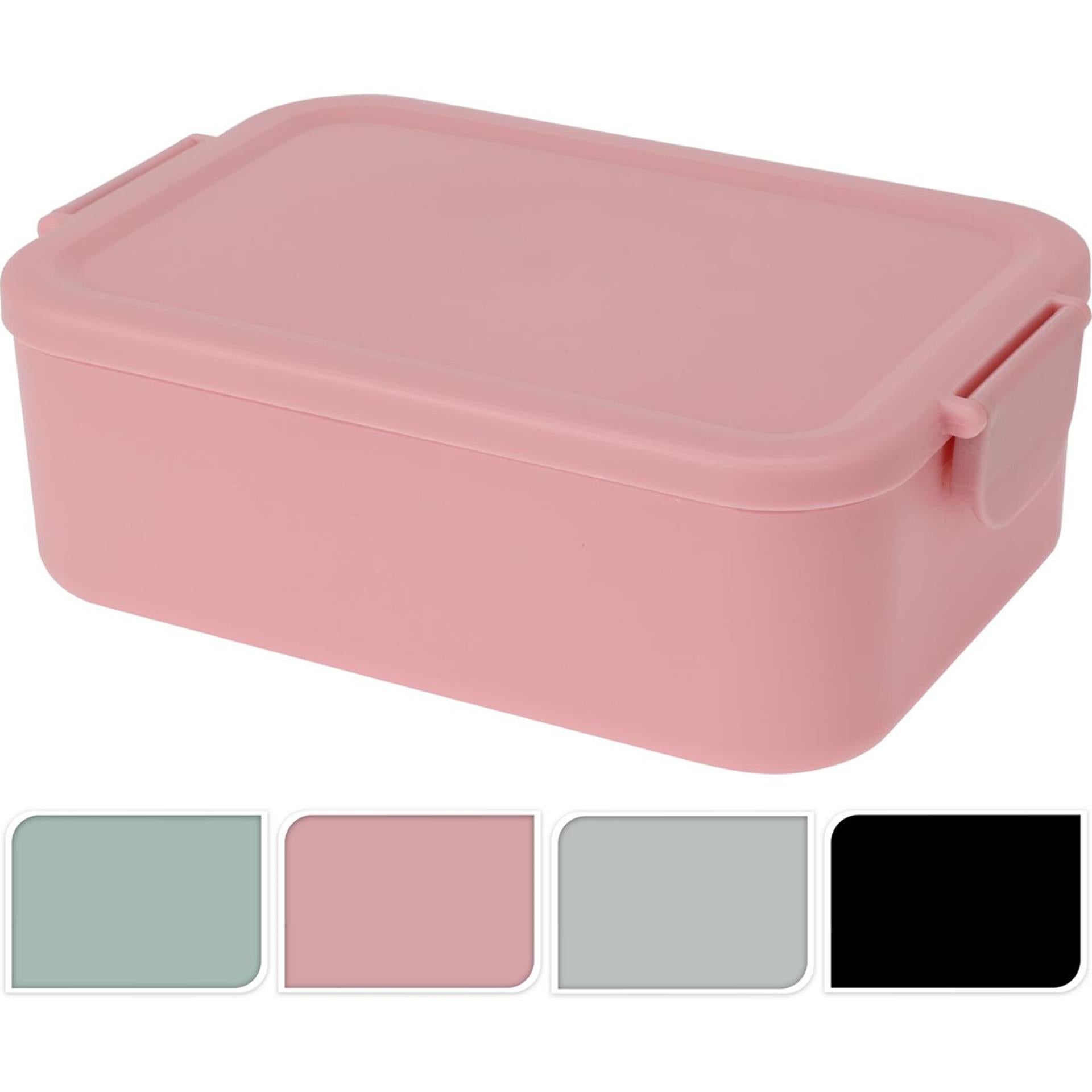 Lunchbox aus Kunststoff mit Clips, 20 x 14 x 7 cm