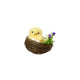 Küken im Nestschaum 4 Assorti Ostern