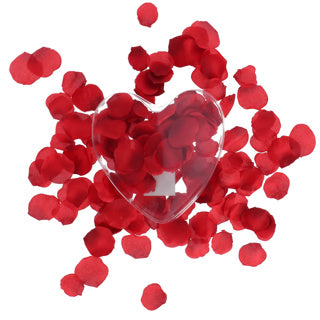 Rosenblätter rot im Geschenkbox Herz