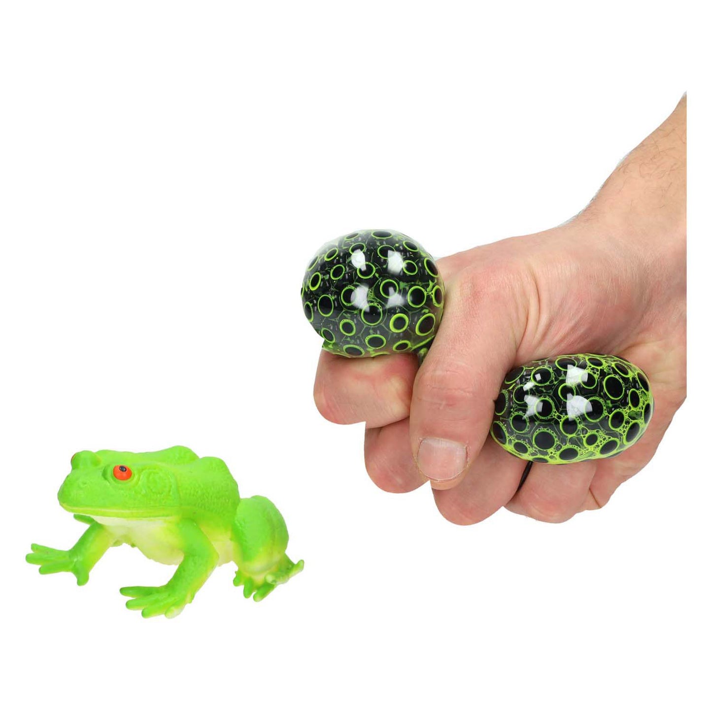Frosch mit Froschbohrer