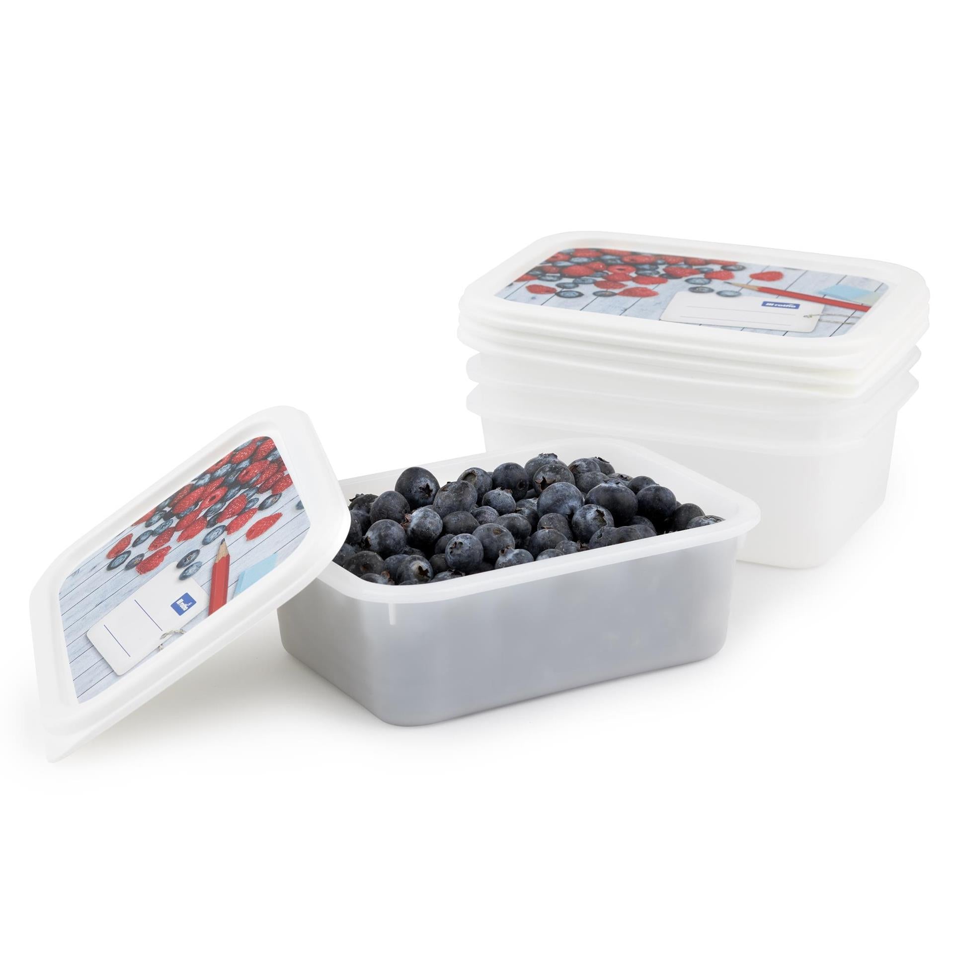 Rotho Gefrierdosen-Set 4-teilig 0,5l