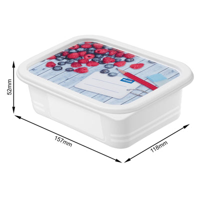 Rotho Gefrierdosen-Set 4-teilig 0,5l