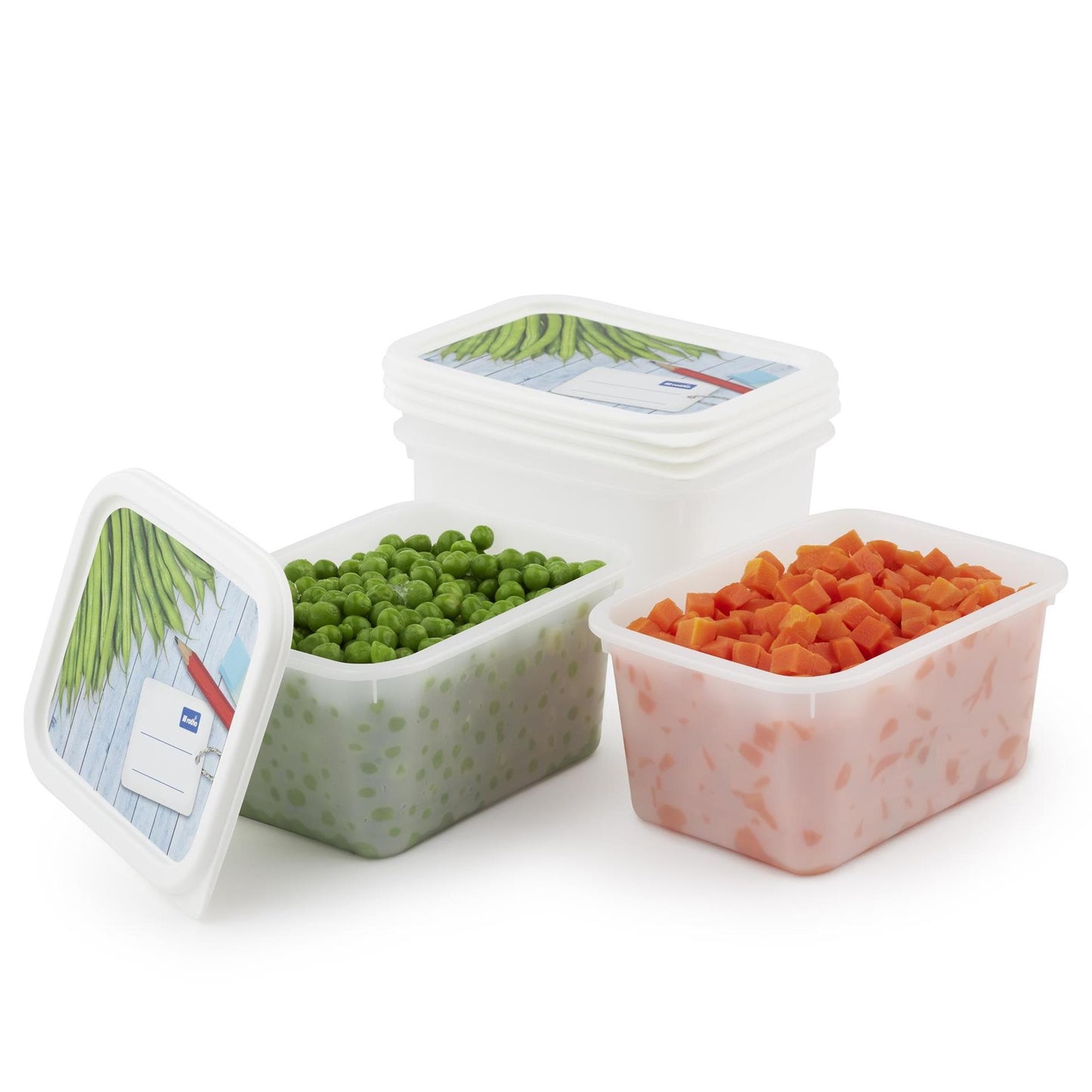 Rotho Gefrierboxen-Set 4-teilig 0,75l