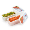 Rotho Gefrierboxen-Set 3-teilig 1,2l