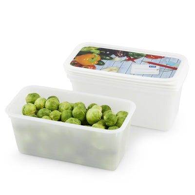 Rotho Gefrierboxen-Set 3-teilig 1,5l