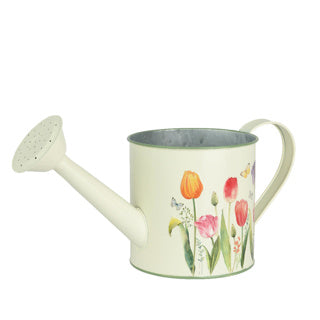 Zinkgießkanne außerhalb von Tulpen | 3 Stück