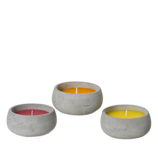 Citronella-Kerzenwachs 3-fach sortiert Outdoor | 4 Stück