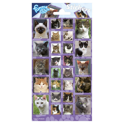 Totum Stickervel -Katzen
