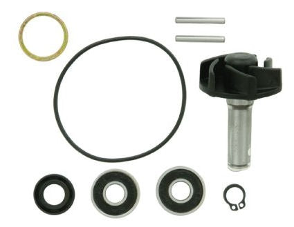 Rms Wasserpumpe Überholungskit komplett Motor 50cc