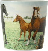 Wiebe van der Zee Wiebe's Farm Minibecher Pferd 23cl 6 Stk - afbeelding 2