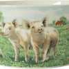 Wiebe van der zee wiebe's farm Schüssel Schwein ø13cm 6 Stk
