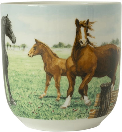 Wiebe van der Zee Wiebe's Farm Cup XL Pferd 41cl 6St