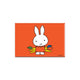 Miffy Magnetkünstler orange 8x5,5cm