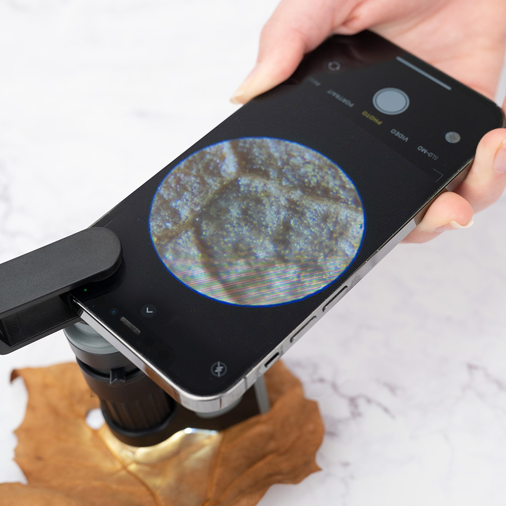Carson Handmicroskop MM-350 Microbrite plus 60-120x mit Smartphone-Adapter