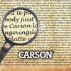 Carson Balie Display leer