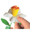 Clementoni Duftblumen machen Narzissen