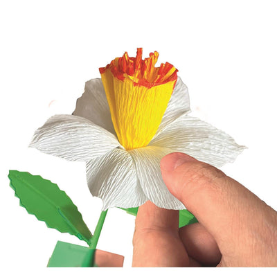 Clementoni Duftblumen machen Narzissen