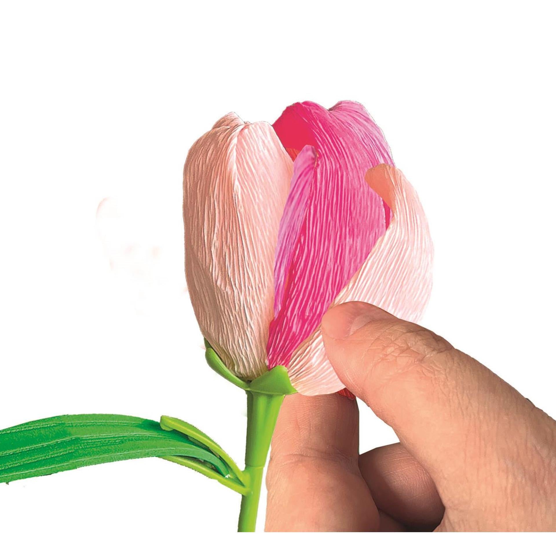 Clementoni Duftblumen machen Tulpe