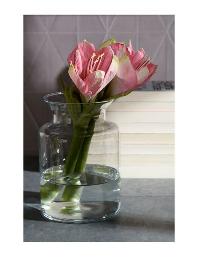 Hakbijl Glasvase Essentials Brenda Glas ø14xh20cm