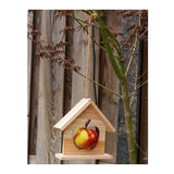 Vogelfutterhalter Apfelhalter - afbeelding 3