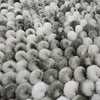 Abi Toilettenmatte dunkelgrau 60 x 60 cm Caorle