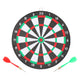 Dartboard Maikel Verberk Dartboard mit Pfeilen