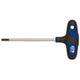 Cycplus-Schraubendreherzyklus mit T-Greep TORX 25 120 mm