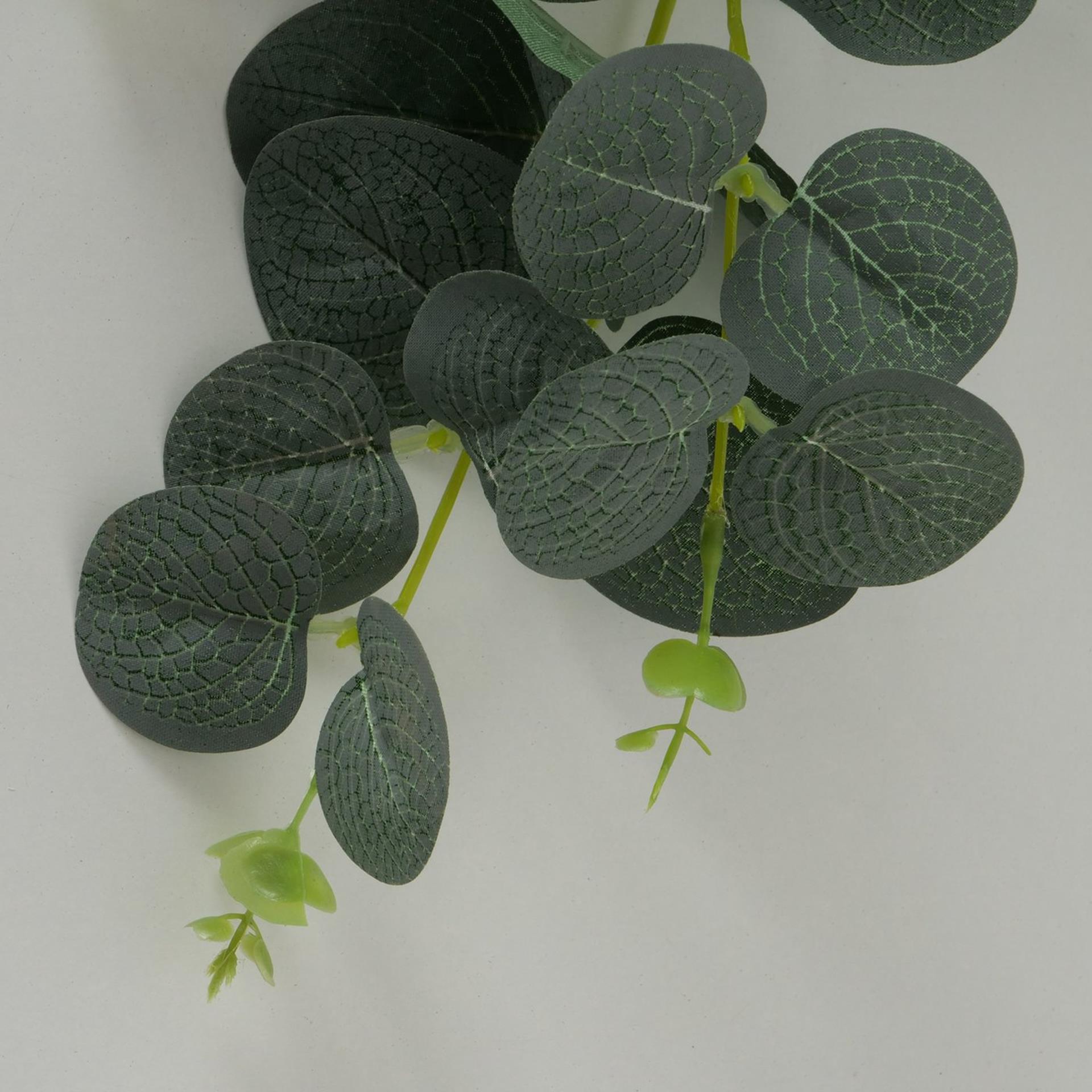Boltze Pflanzengirlande Eukalyptus L75cm