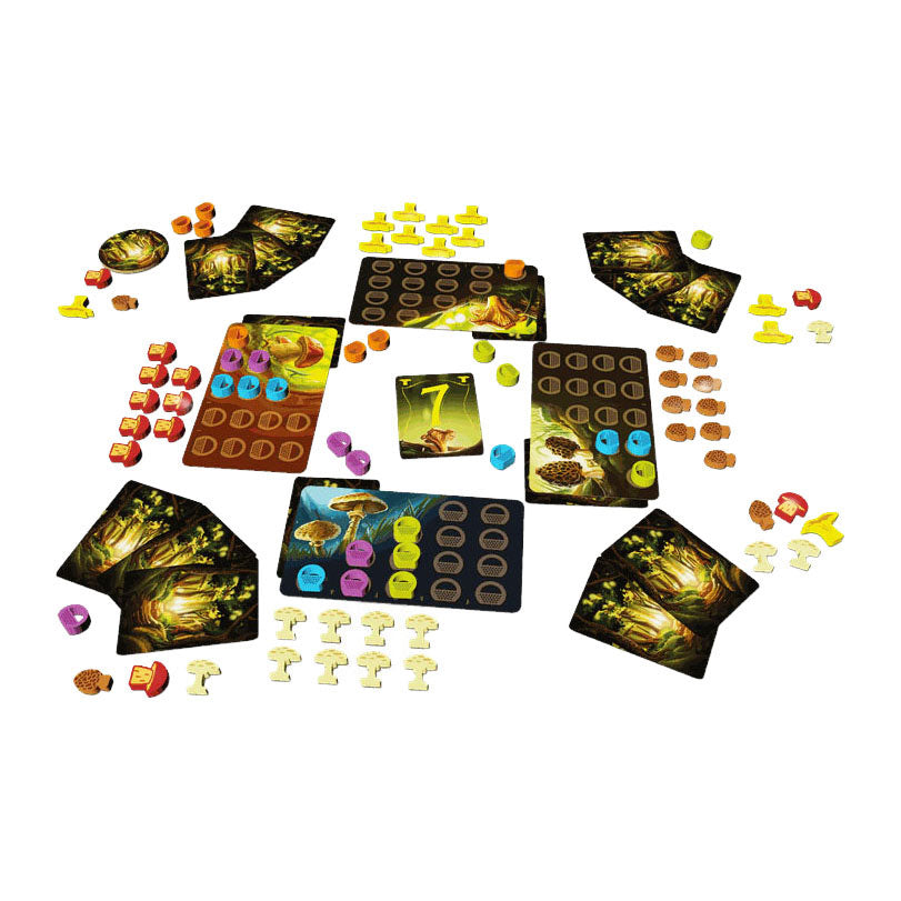 Geronimo Spiele Blau Orange Brettspiel Wonder Woods
