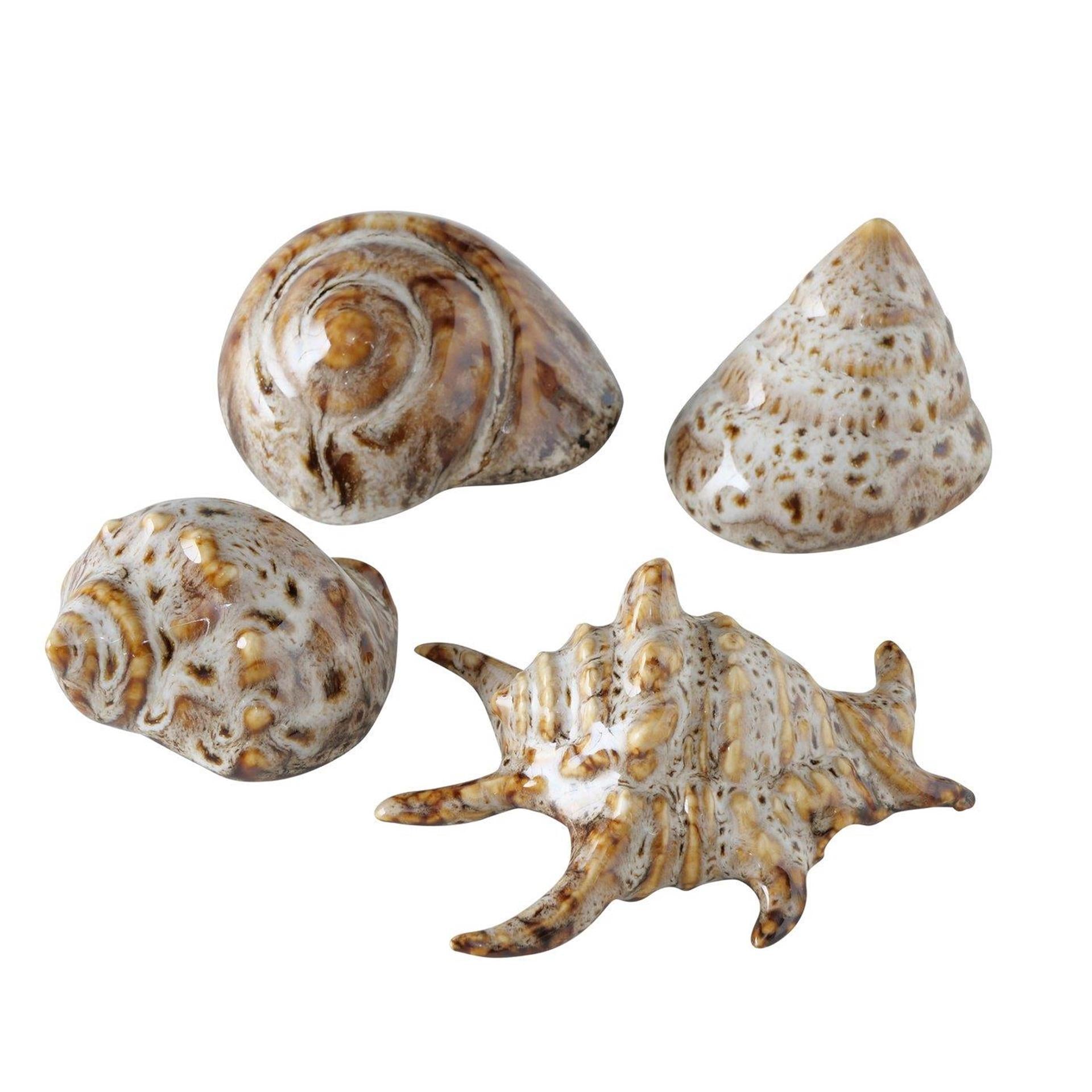 Boltze Wohndeko Muschel 7x6x4cm