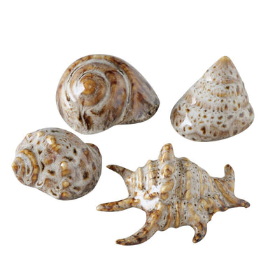 Boltze Wohndeko Muschel 7x6x4cm