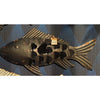 Hbx natürliche lebende Wanddeko Fisch Atlantik 71x5xh34cm blau
