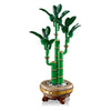 Lego Lego Botanicals 10344 Bambus